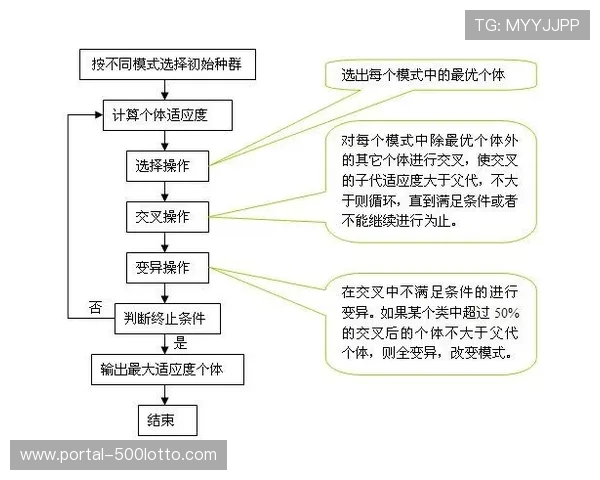 自适应算法优化赛事转码 保障多终端流畅观看